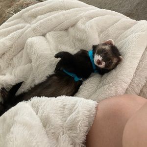 Meet your Posher, Marinda